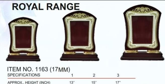 Football Trophy